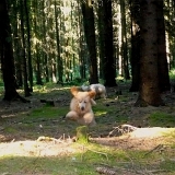 Orlik_2013 (10)